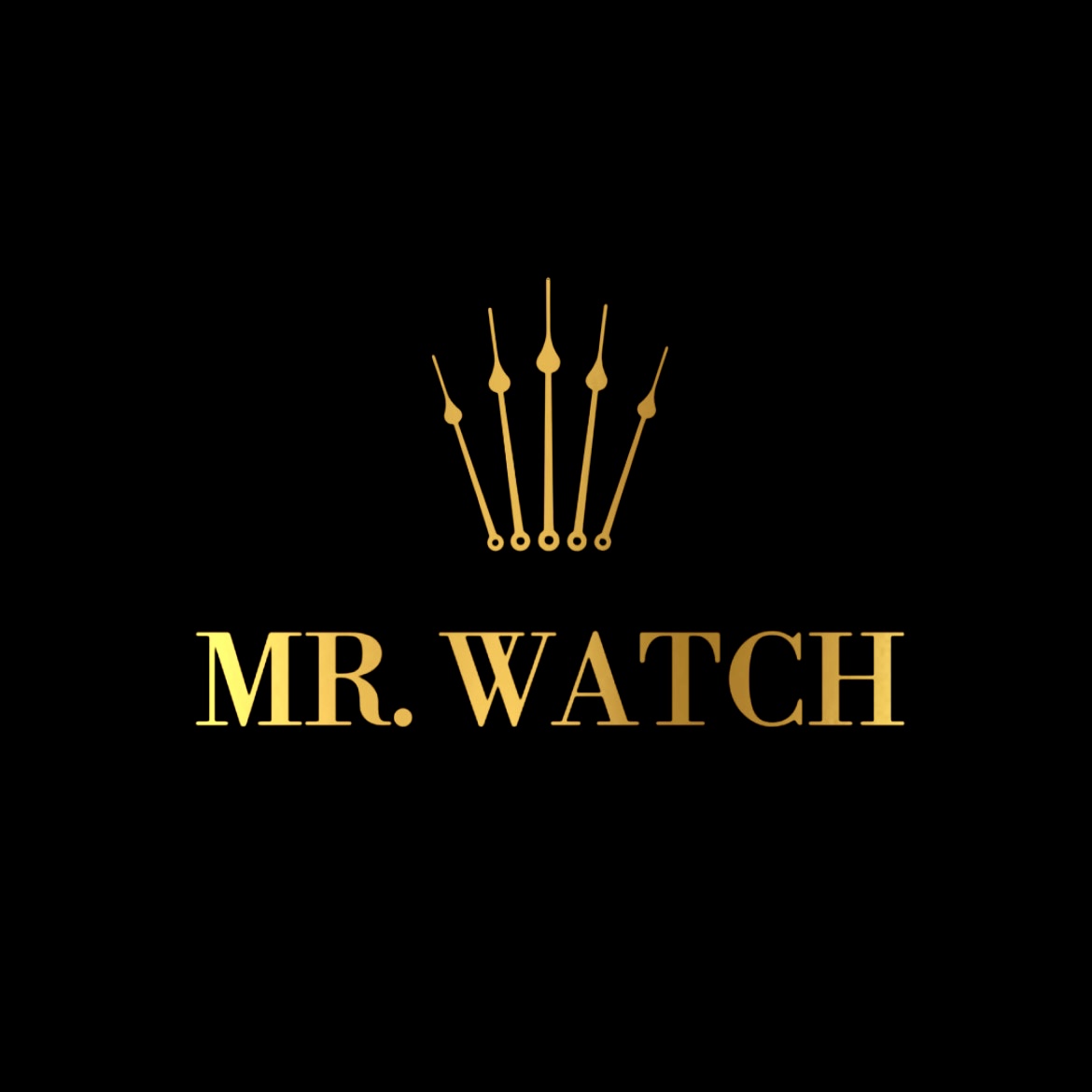 Mr. Watch - MondaniWeb